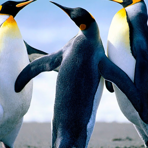 Shelly Barrett Photo 15