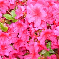 Gloria Wheeler Photo 14