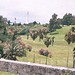 Donna Gibbs Photo 11