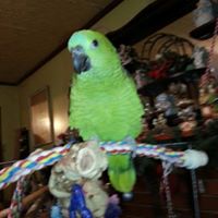 Doris Reynolds Photo 12