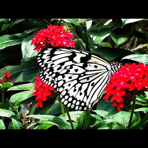 Clara Jenkins Photo 29