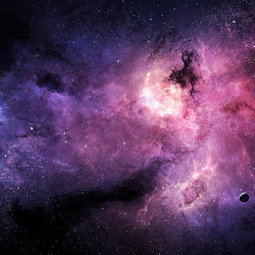 Dianne Mcgee Photo 20