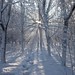 Ray Winters Photo 27