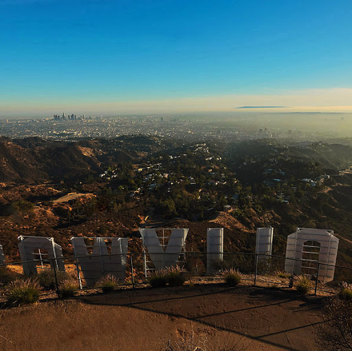 Alan Abrams Photo 15