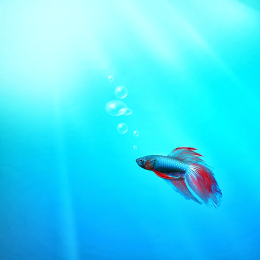 Christine Halloran Photo 9