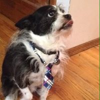 Laurie Roth Photo 12