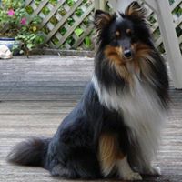 Janet Gebhardt Photo 10