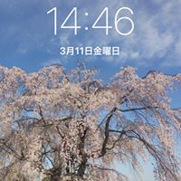 Wayne Chiang Photo 16