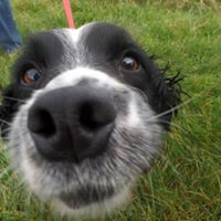 Sharon Burt Photo 18