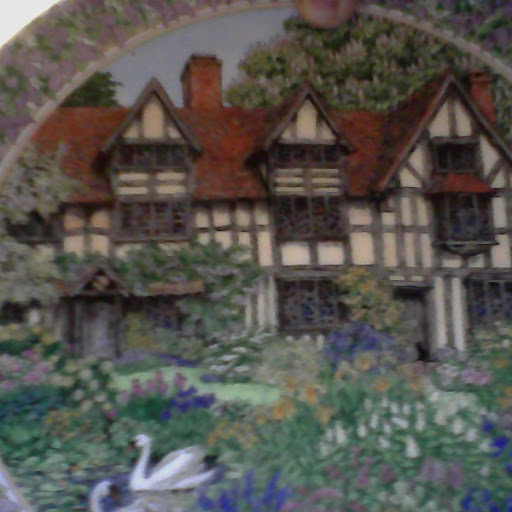 Brenda Houston Photo 38