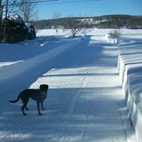Sandra Walters Photo 3