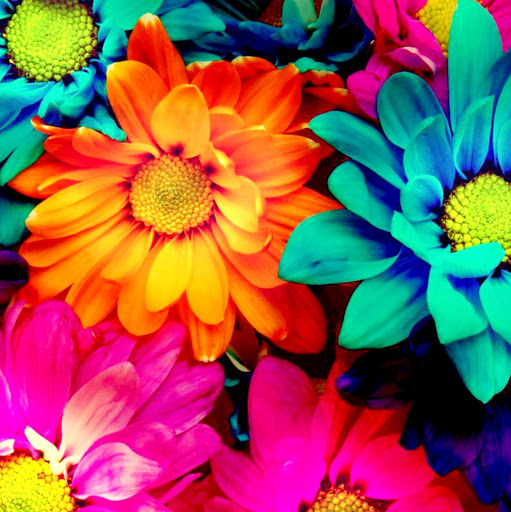 Angela Howe Photo 17