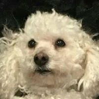 Karen Norton Photo 27