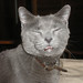 Harold Strange Photo 8