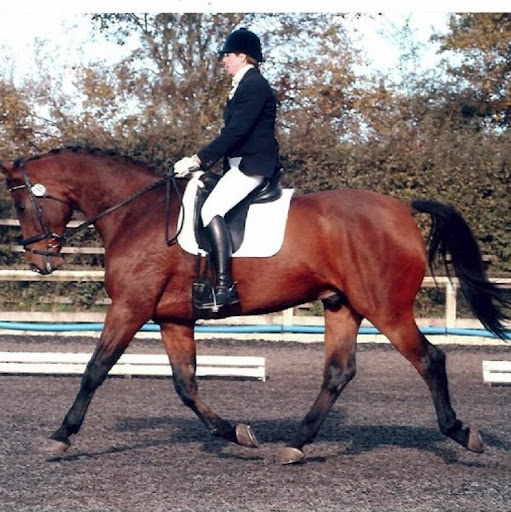 Lisa Webster Photo 12