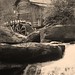 Virginia Parks Photo 19