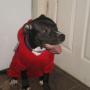 Cynthia Bird Photo 7