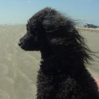 Cynthia Mckinley Photo 23