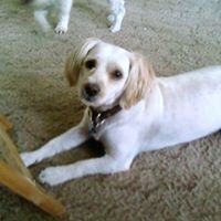 Janet Dewey Photo 21