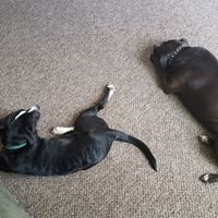 Sharon Caldwell Photo 19