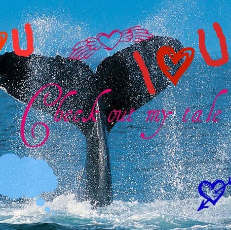 Maria Kelly Photo 41 Maria Kelly Photo 41