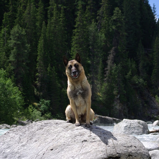 Paul Steiner Photo 34 Paul Steiner Photo 34