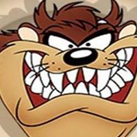 Debora Fields Photo 6