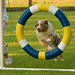 Wayne Eggleston Photo 11
