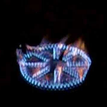 Stephen Dunham Photo 21