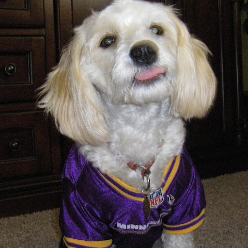 Stephen Wills Photo 25