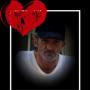 Carol Reynolds Photo 8