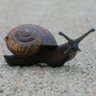 Megan Bell Photo 45
