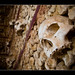 Stephen Faro Photo 6