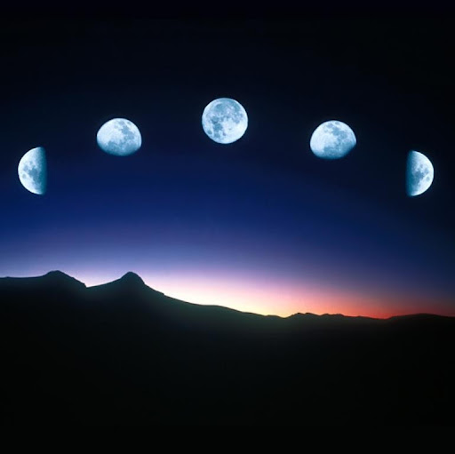 Steve March Photo 21 Steve March Photo 21