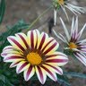 Heather Newton Photo 14