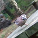 Jay Stover Photo 19