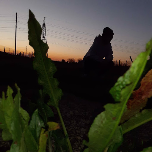 Matthew Vang Photo 20