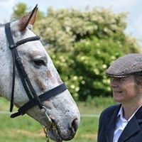 Julie Hawkes Photo 7