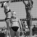 Pat Koester Photo 7