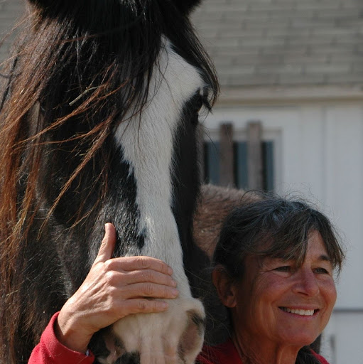 Jackie Stevenson Photo 9