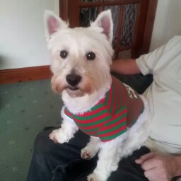 Julia Snook Photo 10