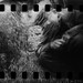Mark Tweedie Photo 25