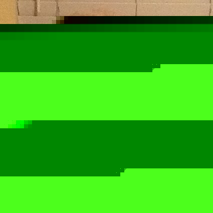 Shirley Chase Photo 13