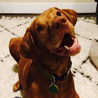 Brooks Walsh Photo 7