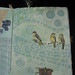 Pam Bird Photo 18