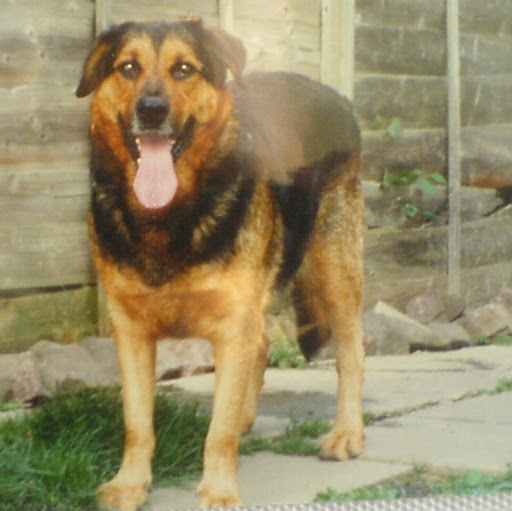 Janet Curry Photo 20