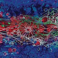 Laura Dolan Photo 25