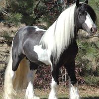 Janette Pacheco Photo 25