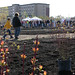 Alan Greenway Photo 15