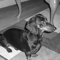 Cindy Richey Photo 19